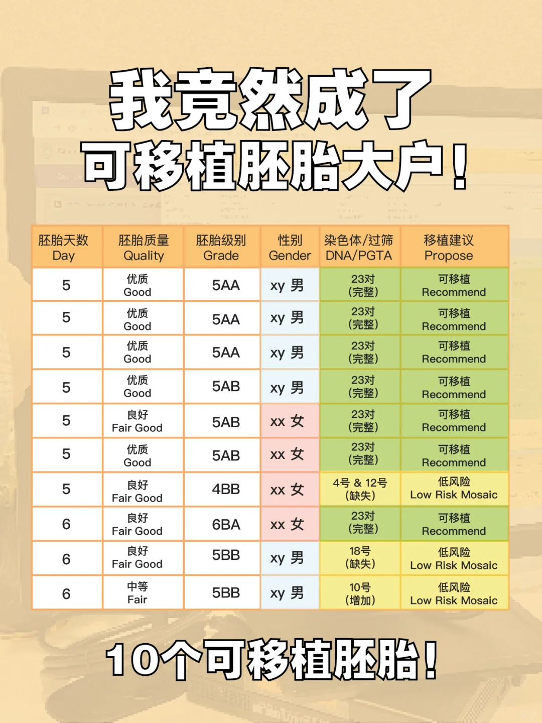 Alpha试管婴儿的我竟然成了可移植胚胎大户,最正规代孕中心，那里做代孕权威