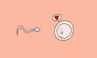 香港三代试管医院的成功率及技术解析