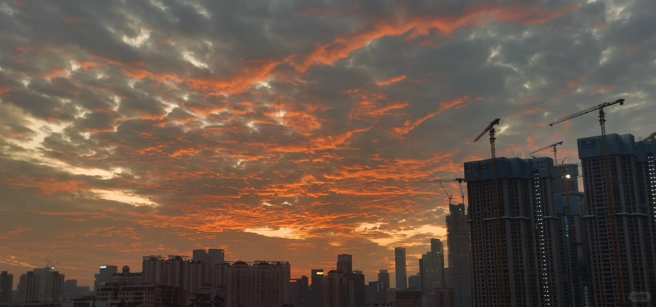 人授手术当天流程,代孕中心安全吗-代孕便宜